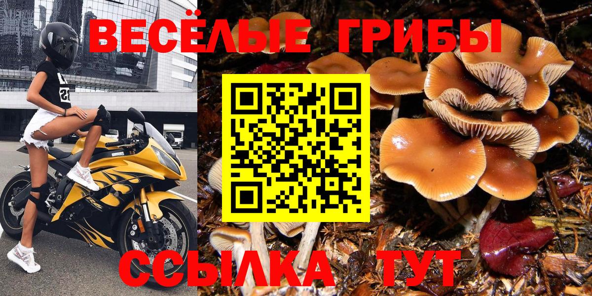 Псилоцибиновые грибы MAGIC MUSHROOMS  Вход с VPN  Фурманов 